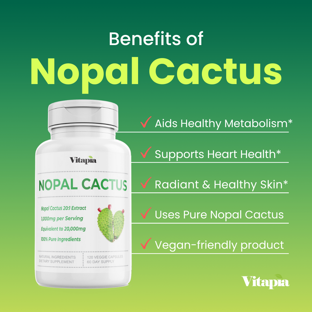 Nopal Cactus