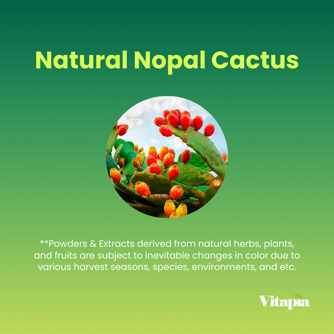 Nopal Cactus