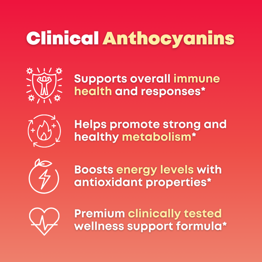 Burn & Balance Bundle