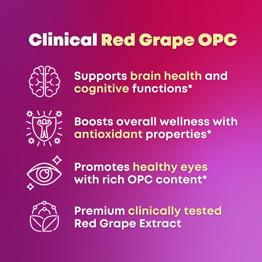 Sharp & Steady Bundle