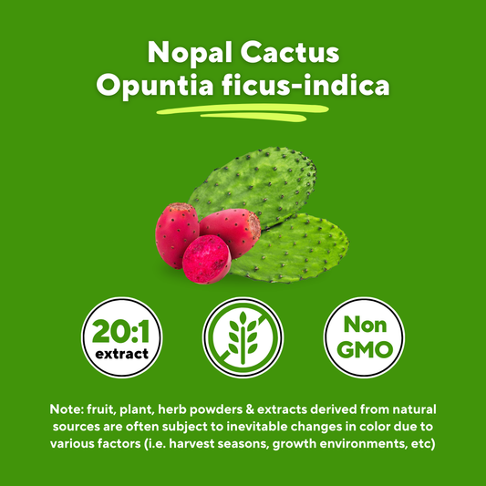 Sugar Smart Cactus Bundle