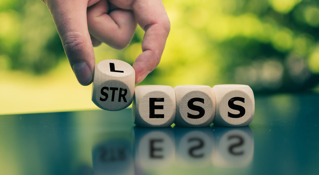 The Daily Impact Of Stress On Your Body & How To Restore Balance