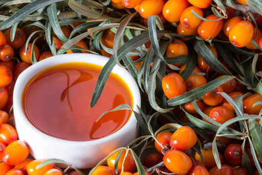 Sea Buckthorn: Nature's Omega Rich Superberry
