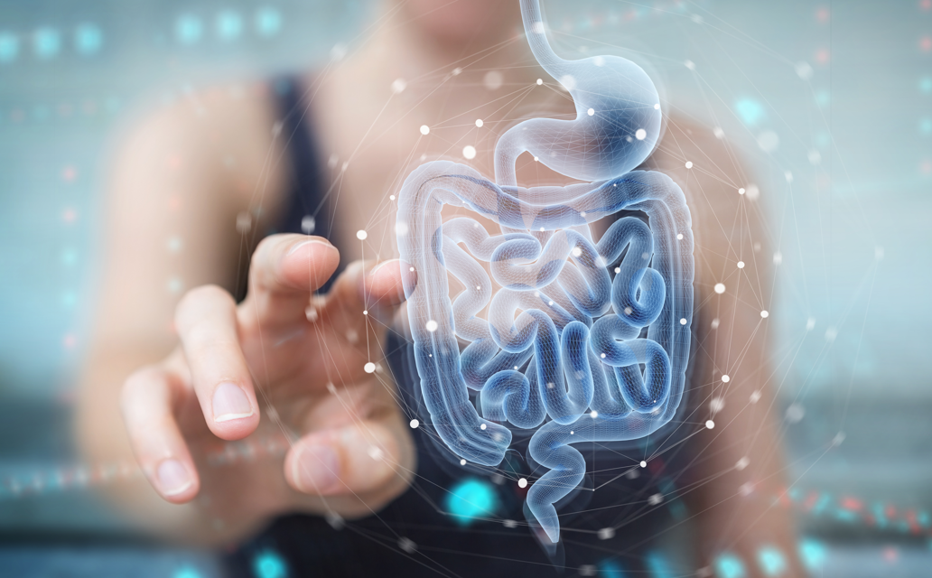 Why Digestive Health Affects Your Skin, Mood, and Energy