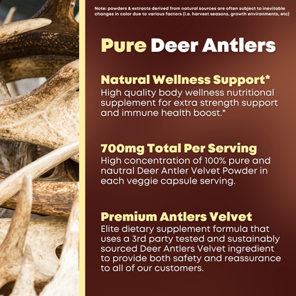 Deer Antlers Velvet