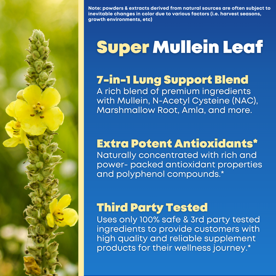 Mullein + NAC Lung Support