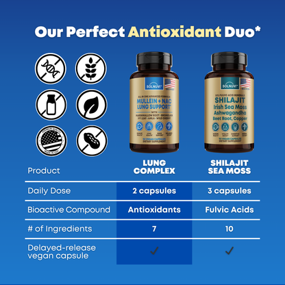 Mullein + NAC Lung Support