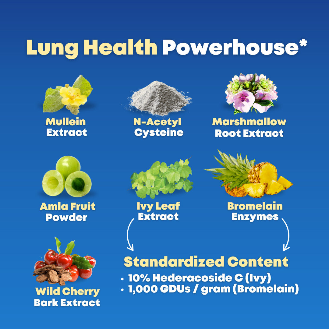 Mullein + NAC Lung Support