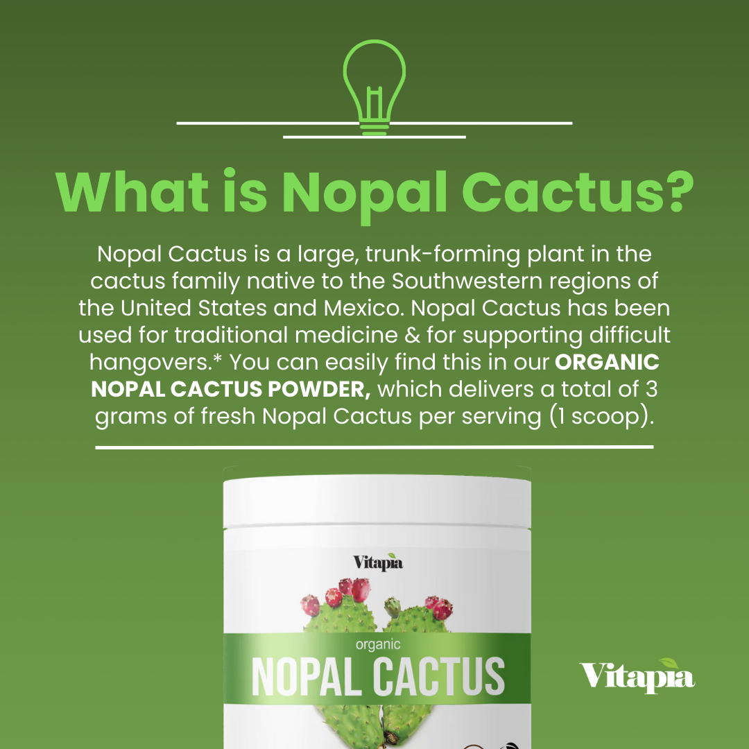 Organic Nopal Cactus Powder