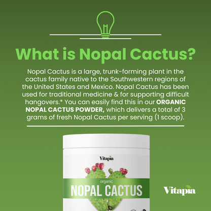 Organic Nopal Cactus Powder