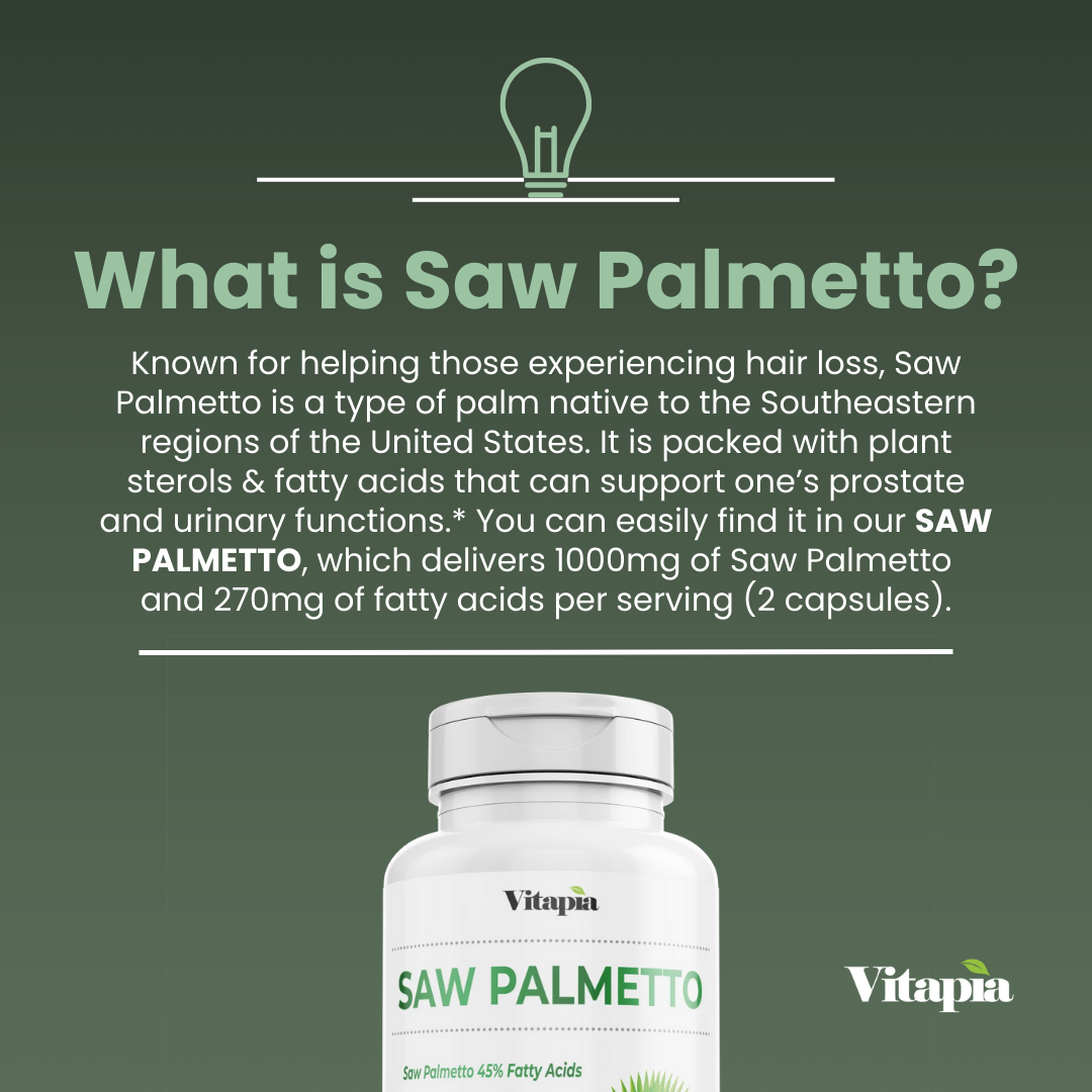 Saw Palmetto