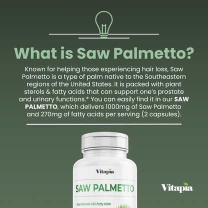 Saw Palmetto