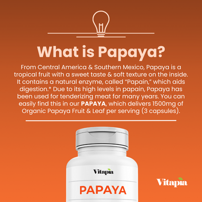 Papaya