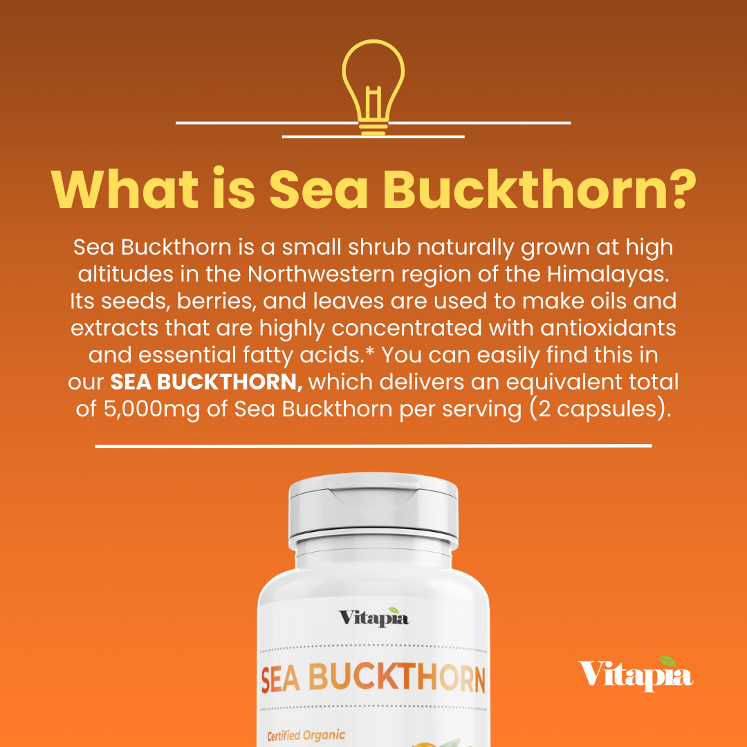 Sea Buckthorn