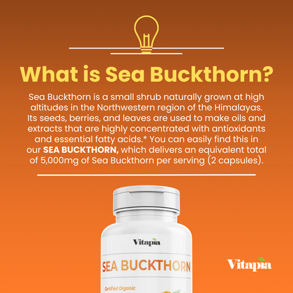 Sea Buckthorn