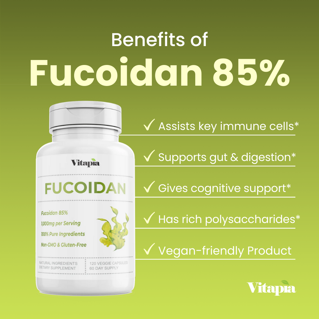 Fucoidan 85%