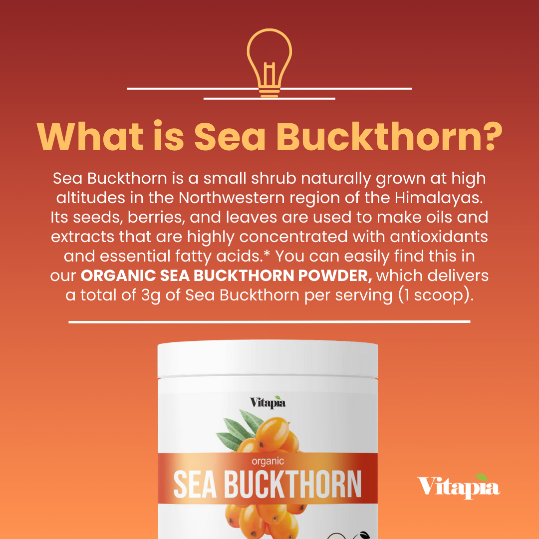 Organic Sea Buckthorn Powder