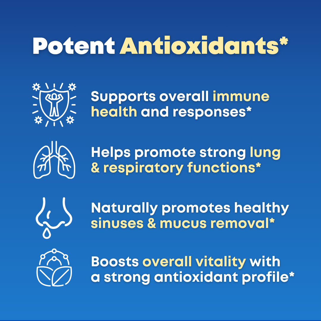 Mullein + NAC Lung Support