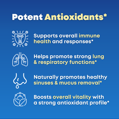 Mullein + NAC Lung Support