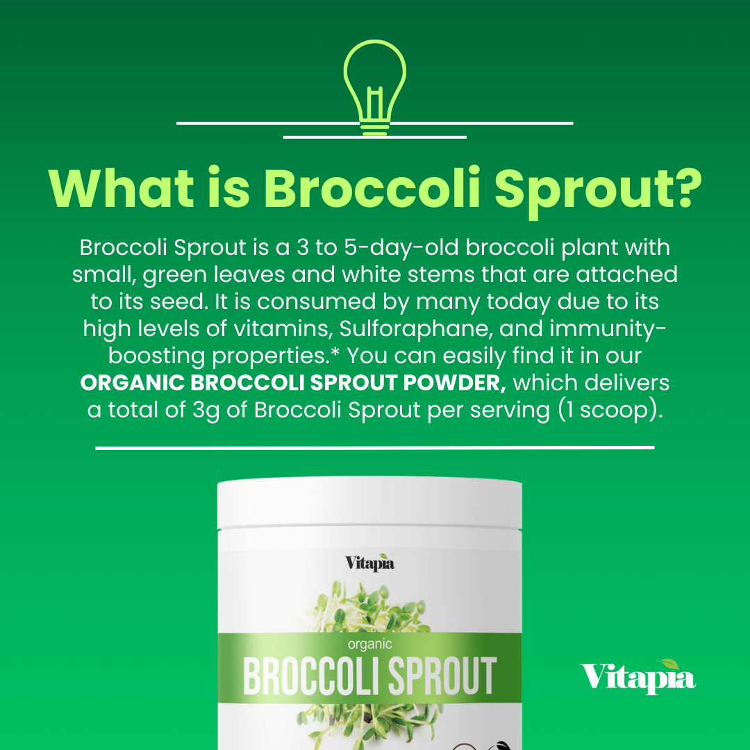 Organic Broccoli Sprout Powder