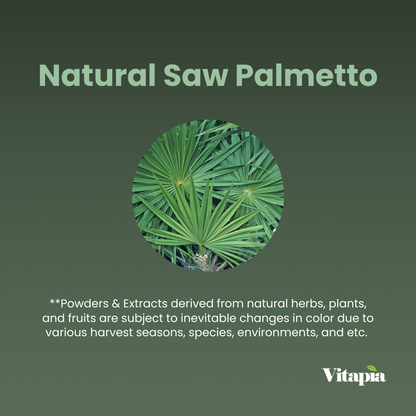 Saw Palmetto