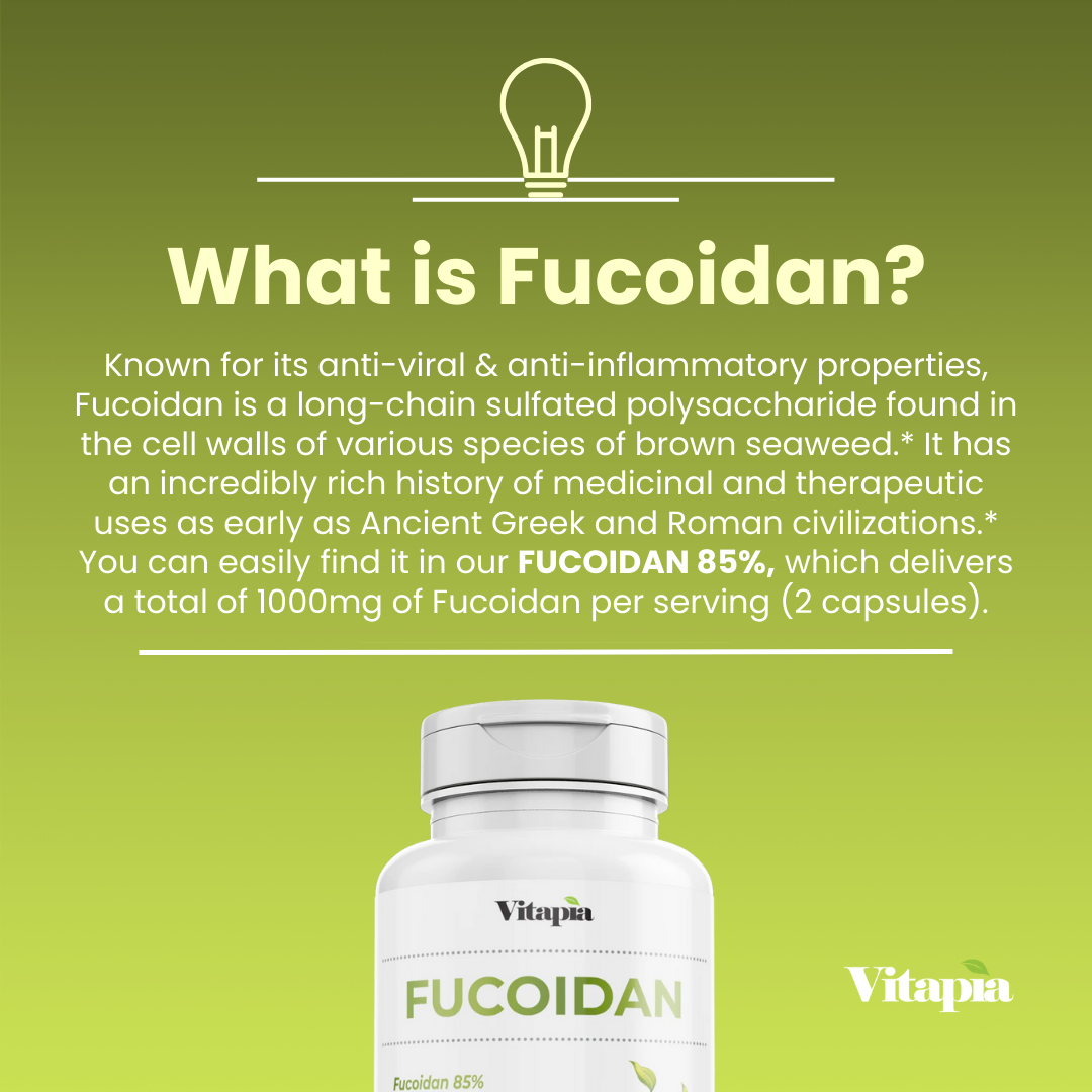 Fucoidan 85%