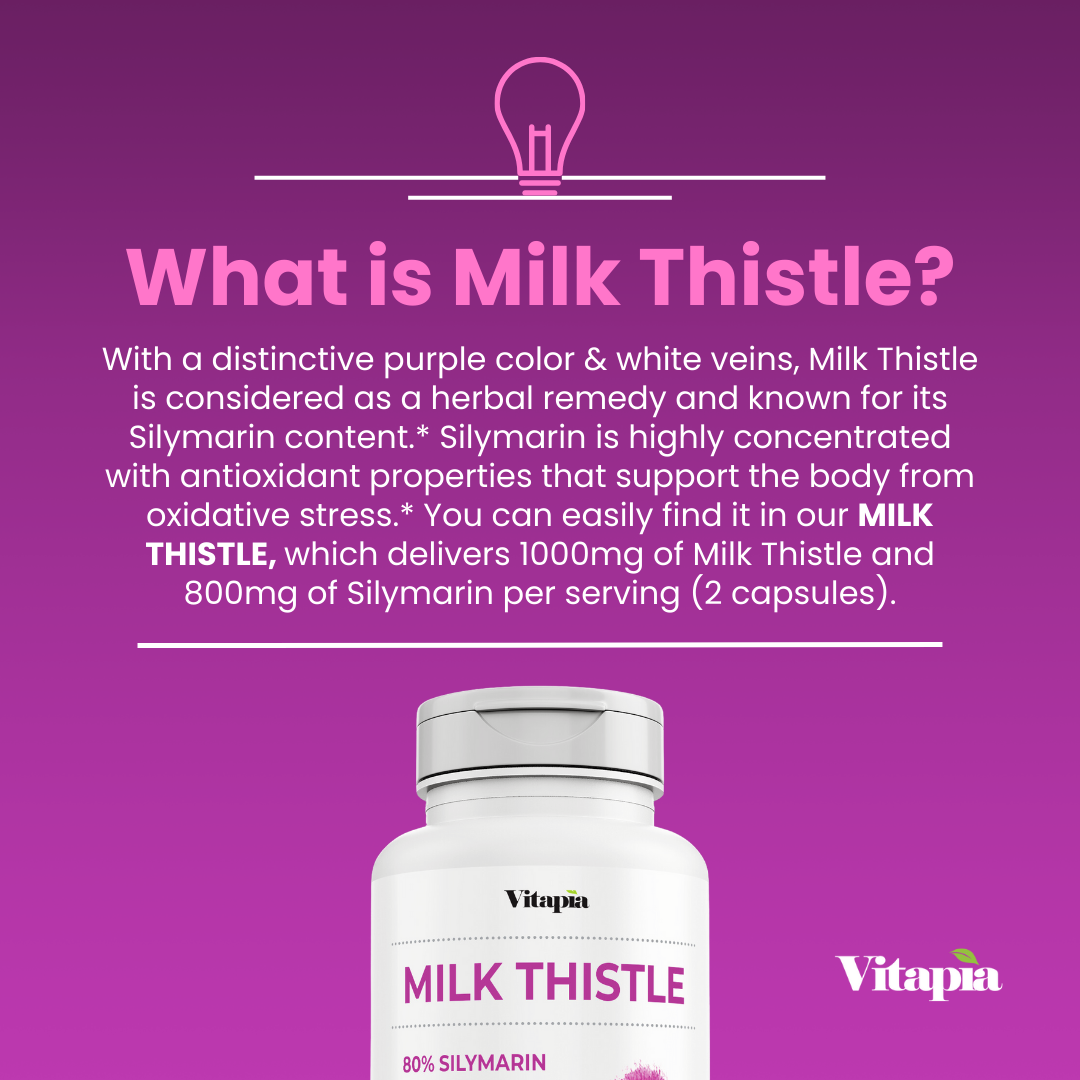 Milk Thistle