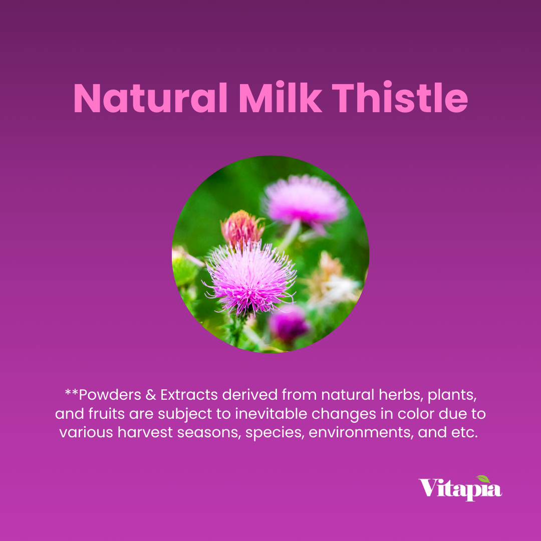 Milk Thistle