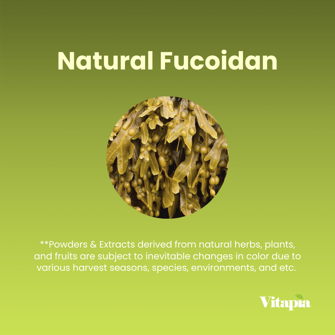 Fucoidan 85%