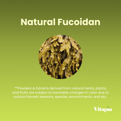 Fucoidan 85%