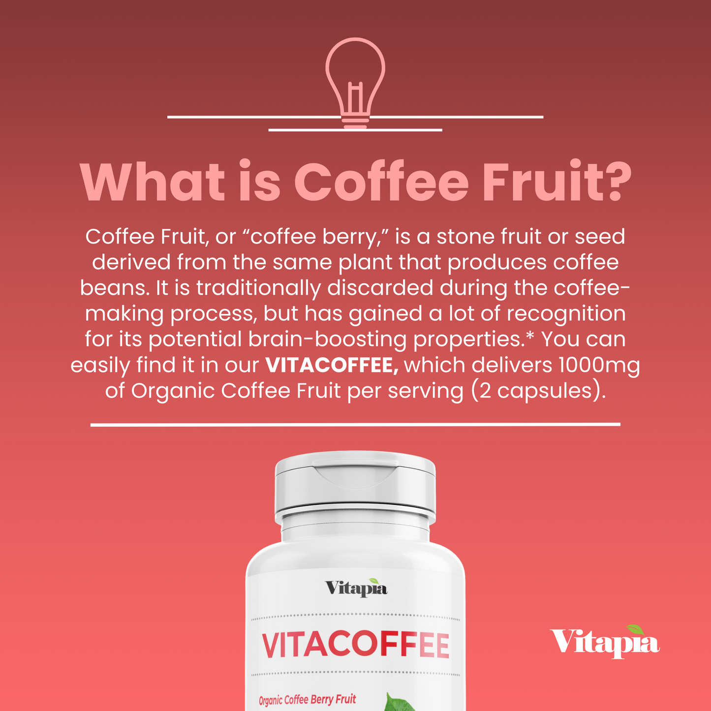 Vitacoffee Coffee Fruit