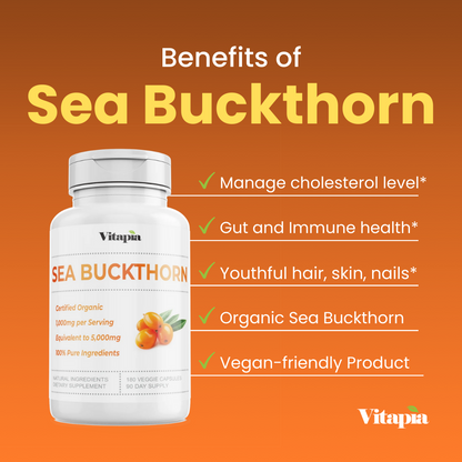 Sea Buckthorn