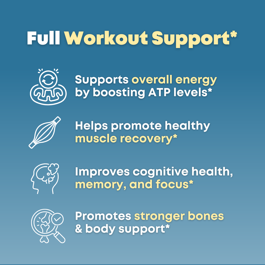 Creatine + 15 Aminos