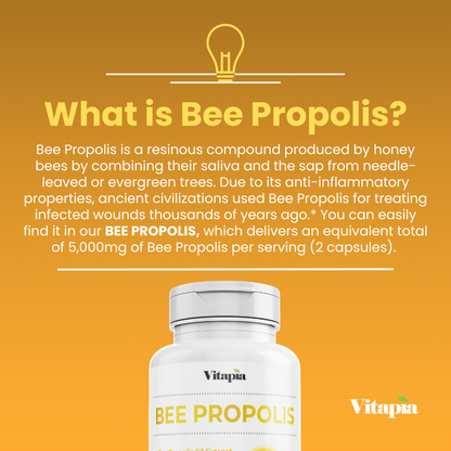 Bee Propolis