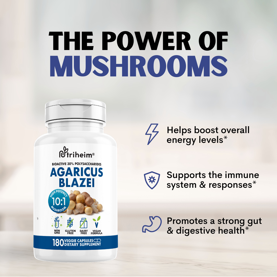 Agaricus Blazei Mushroom