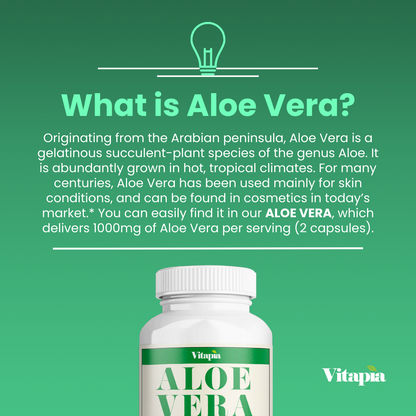 Aloe Vera